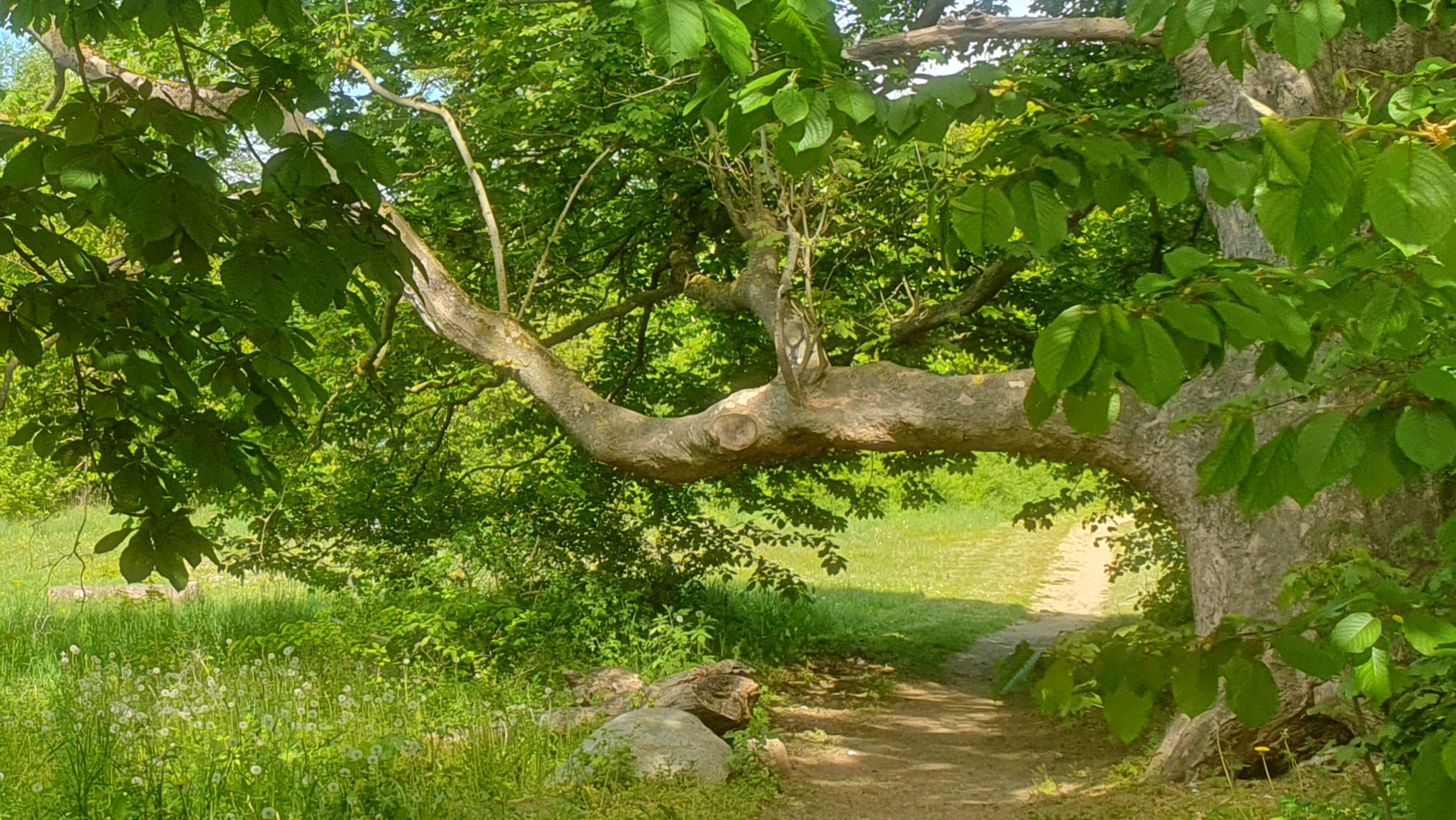 Landschaft