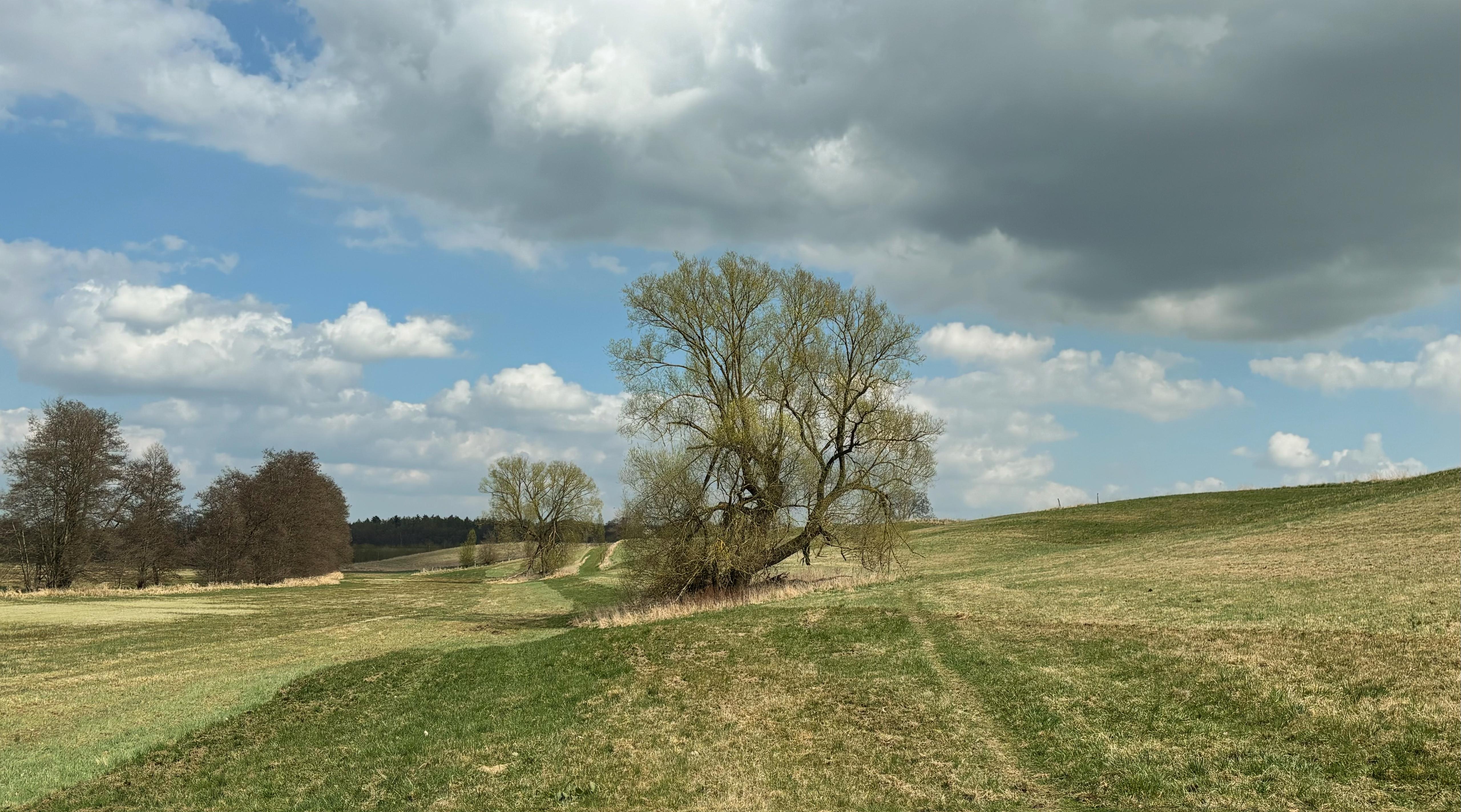 Landschaft