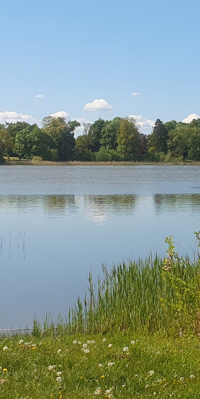 Badestelle am Haussee